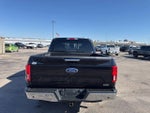 2019 F-150 Thumbnail 6