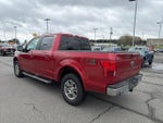 2020 F-150 Thumbnail 7