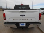 2020 F-150 Thumbnail 4