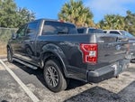 2020 F-150 Thumbnail 5