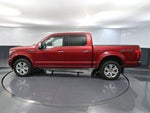 2019 F-150 Thumbnail 10