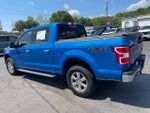 2019 F-150 Thumbnail 4
