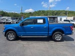 2019 F-150 Thumbnail 8