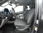 2019 F-150 Thumbnail 7