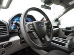 2019 F-150 Thumbnail 8