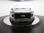 2019 F-150 Thumbnail 11