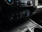 2019 F-150 Thumbnail 20
