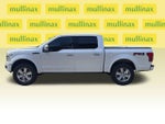 2019 F-150 Thumbnail 10