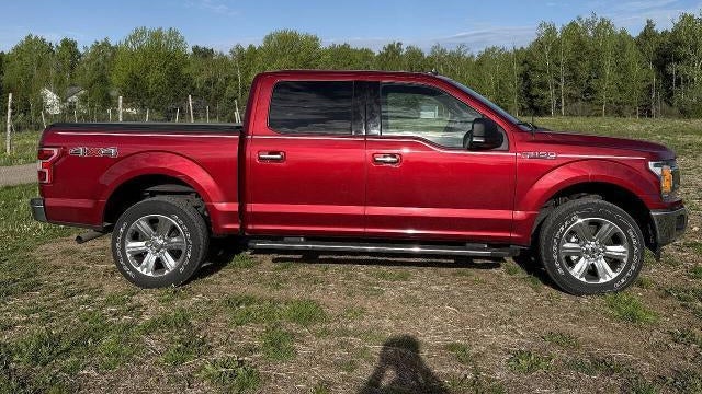 Preowned 2019 Ford F-150 XLT for Sale