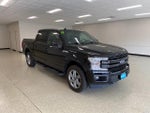 2019 F-150 Thumbnail 4