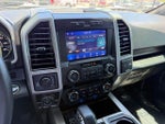 2019 F-150 Thumbnail 22