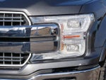 2019 F-150 Thumbnail 9