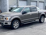 2019 F-150 Thumbnail 2