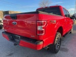 2019 F-150 Thumbnail 5