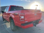 2019 F-150 Thumbnail 8
