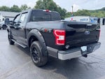 2020 F-150 Thumbnail 4