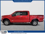 2020 F-150 Thumbnail 5