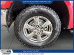2020 F-150 Thumbnail 6