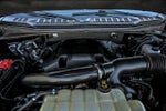 2020 F-150 Thumbnail 12
