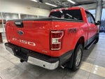 2020 F-150 Thumbnail 12