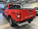 2020 F-150 Thumbnail 14
