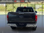2019 F-150 Thumbnail 4