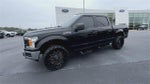 2019 F-150 Thumbnail 4