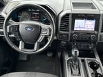 2019 F-150 Thumbnail 13
