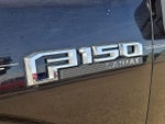 2019 F-150 Thumbnail 7