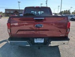 2019 F-150 Thumbnail 5