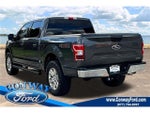 2019 F-150 Thumbnail 5