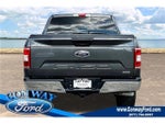 2019 F-150 Thumbnail 7