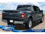 2019 F-150 Thumbnail 8