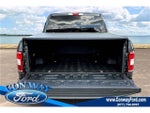 2019 F-150 Thumbnail 9