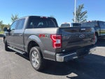 2019 F-150 Thumbnail 3