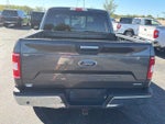 2019 F-150 Thumbnail 4
