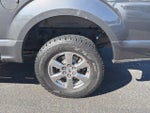 2019 F-150 Thumbnail 5