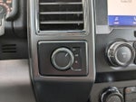 2020 F-150 Thumbnail 4