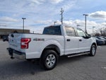 2020 F-150 Thumbnail 12