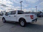 2020 F-150 Thumbnail 14