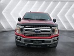 2020 F-150 Thumbnail 19