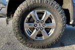 2020 F-150 Thumbnail 8