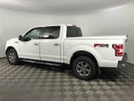 2019 F-150 Thumbnail 6