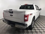 2019 F-150 Thumbnail 8