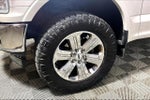 2019 F-150 Thumbnail 8