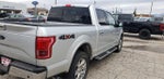 2019 F-150 Thumbnail 7