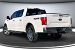 2019 F-150 Thumbnail 4