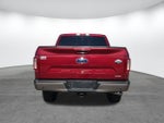 2019 F-150 Thumbnail 5