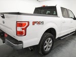 2019 F-150 Thumbnail 9