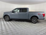2019 F-150 Thumbnail 4